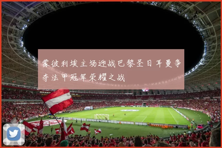 蒙彼利埃主场迎战巴黎圣日耳曼争夺法甲冠军荣耀之战