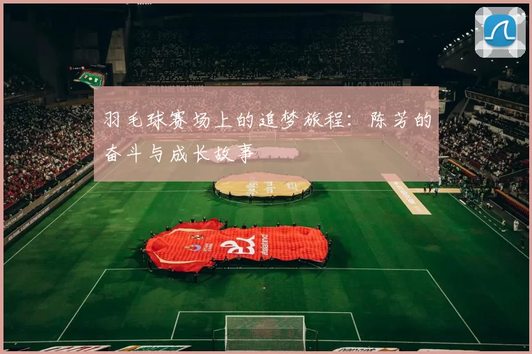 羽毛球赛场上的追梦旅程：陈芳的奋斗与成长故事