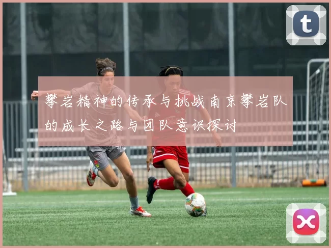 攀岩精神的传承与挑战南京攀岩队的成长之路与团队意识探讨
