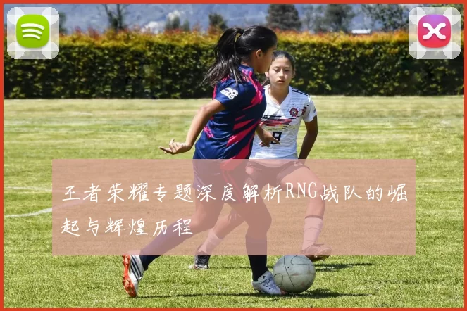 王者荣耀专题深度解析RNG战队的崛起与辉煌历程