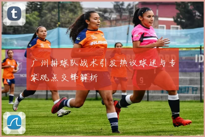广州排球队战术引发热议球迷与专家观点交锋解析