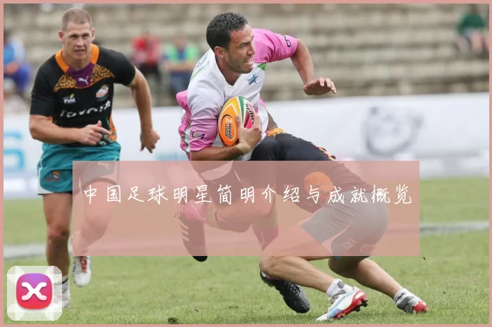 中国足球明星简明介绍与成就概览