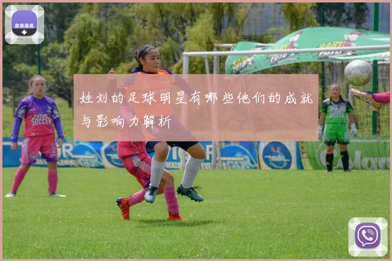 姓刘的足球明星有哪些他们的成就与影响力解析