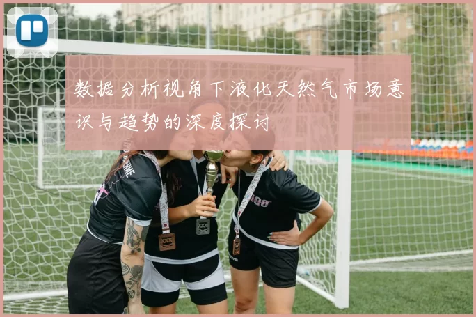 数据分析视角下液化天然气市场意识与趋势的深度探讨