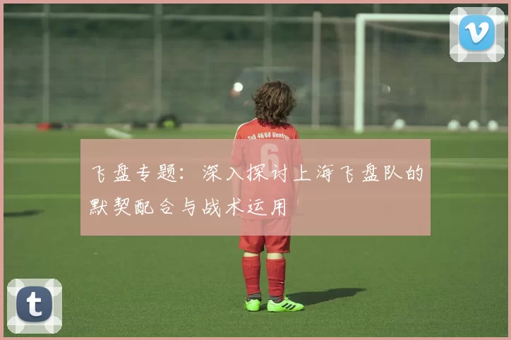 飞盘专题：深入探讨上海飞盘队的默契配合与战术运用
