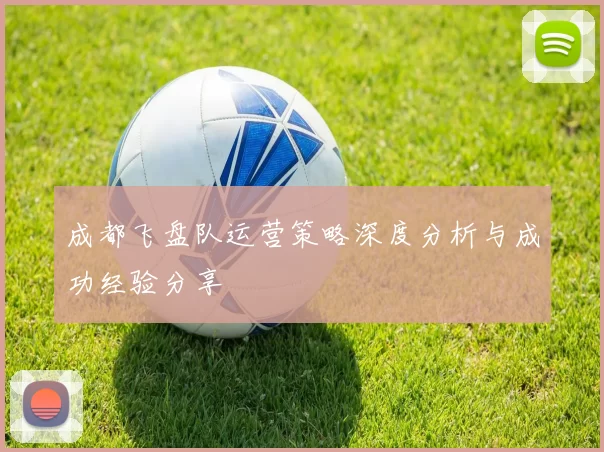 成都飞盘队运营策略深度分析与成功经验分享