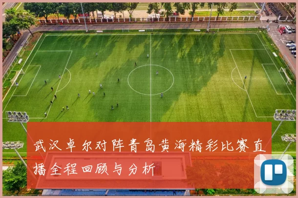 武汉卓尔对阵青岛黄海精彩比赛直播全程回顾与分析