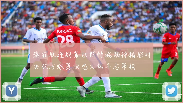 谢菲联迎战莱切斯特城期待精彩对决双方球员状态火热斗志昂扬