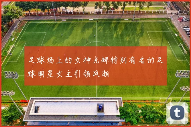 足球场上的女神光辉特别有名的足球明星女主引领风潮
