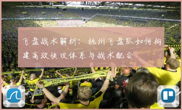 飞盘战术解析：杭州飞盘队如何构建高效快攻体系与战术配合