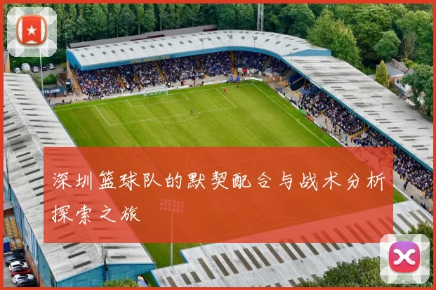 深圳篮球队的默契配合与战术分析探索之旅