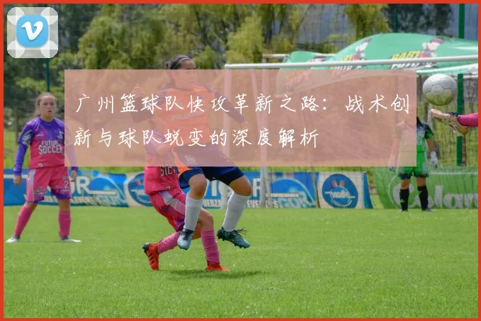 广州篮球队快攻革新之路：战术创新与球队蜕变的深度解析