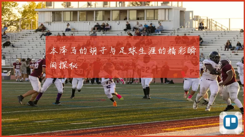 本泽马的胡子与足球生涯的精彩瞬间探秘