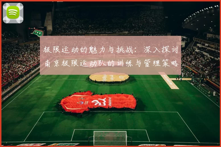 极限运动的魅力与挑战：深入探讨南京极限运动队的训练与管理策略