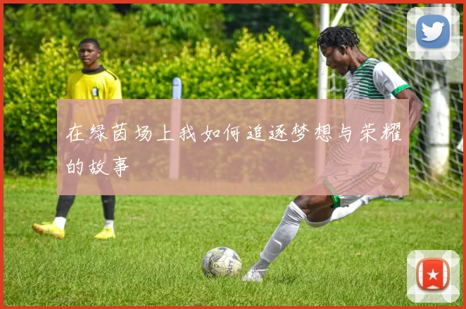 在绿茵场上我如何追逐梦想与荣耀的故事