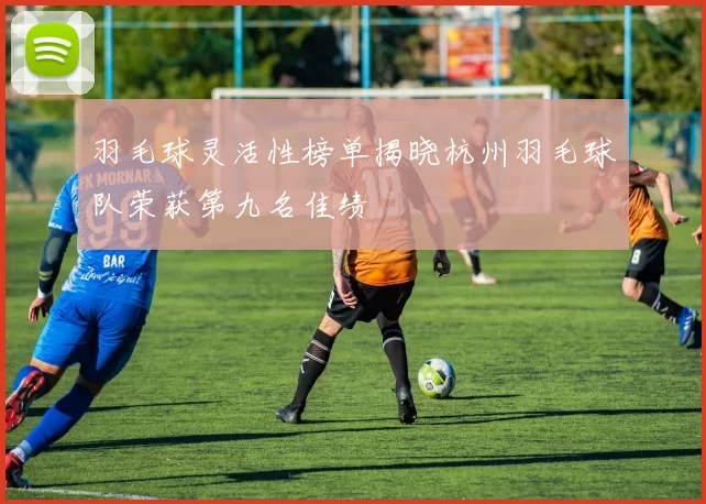 羽毛球灵活性榜单揭晓杭州羽毛球队荣获第九名佳绩