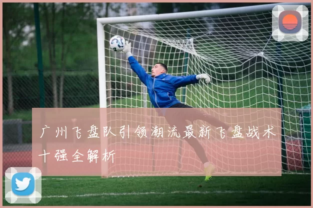 广州飞盘队引领潮流最新飞盘战术十强全解析