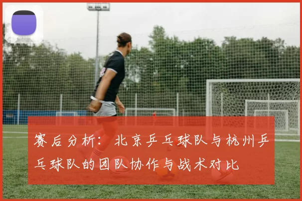 赛后分析：北京乒乓球队与杭州乒乓球队的团队协作与战术对比