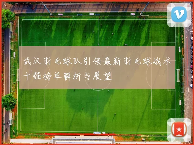 武汉羽毛球队引领最新羽毛球战术十强榜单解析与展望