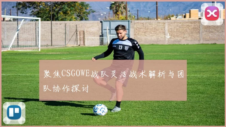 聚焦CSGOWE战队灵活战术解析与团队协作探讨