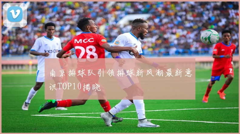 南京排球队引领排球新风潮最新意识TOP10揭晓