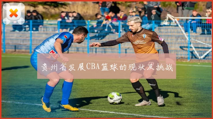 贵州省发展CBA篮球的现状及挑战