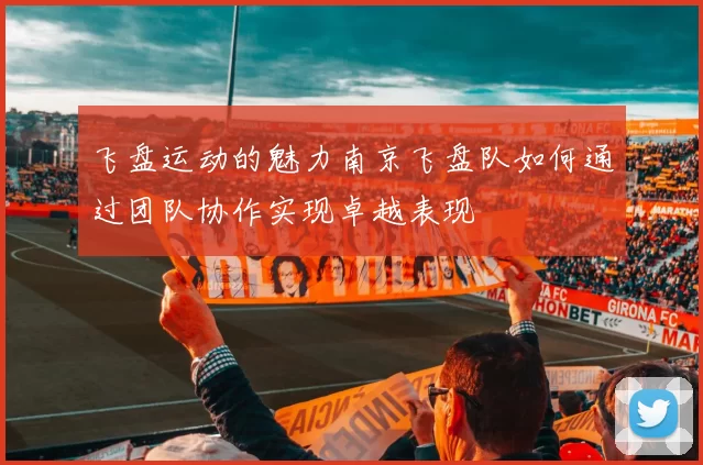 飞盘运动的魅力南京飞盘队如何通过团队协作实现卓越表现