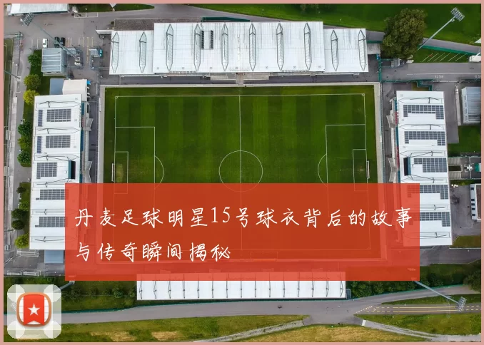 丹麦足球明星15号球衣背后的故事与传奇瞬间揭秘